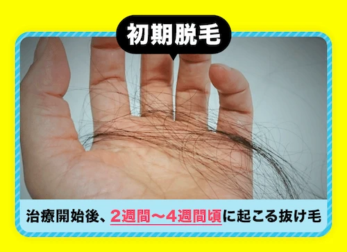 初期脱毛は治療開始後、2週間~4週間頃に起こる抜け毛